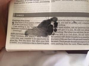 Michael Dean's footprint